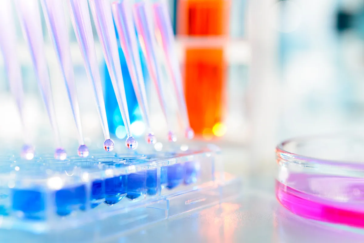 CDMO industry 2024 outlook