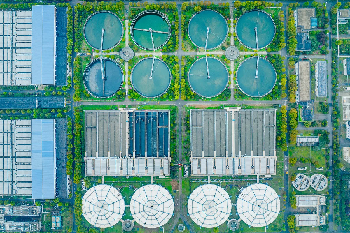 Commercializing sustainability in a softening economy