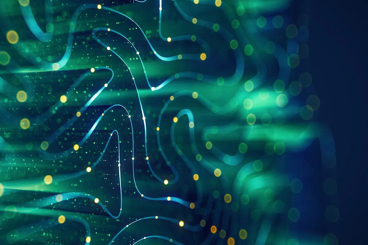 product architecture