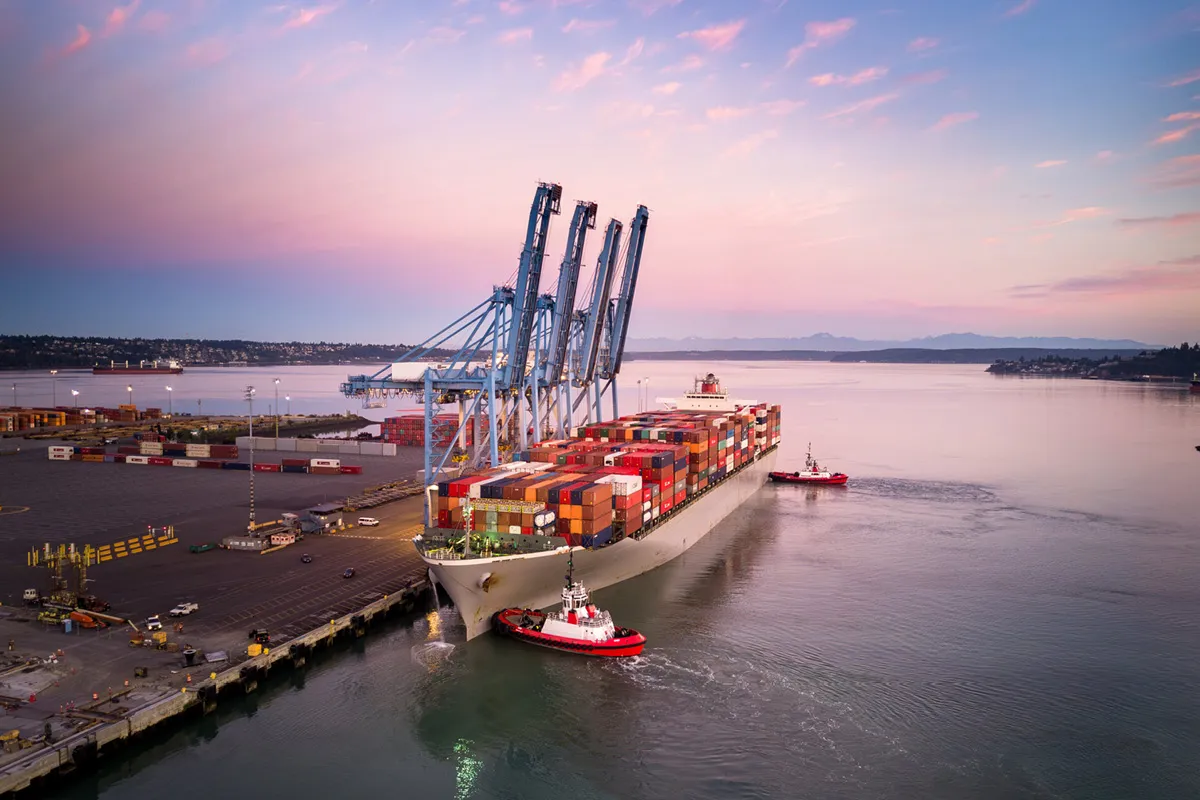 Visual of supply chain impact