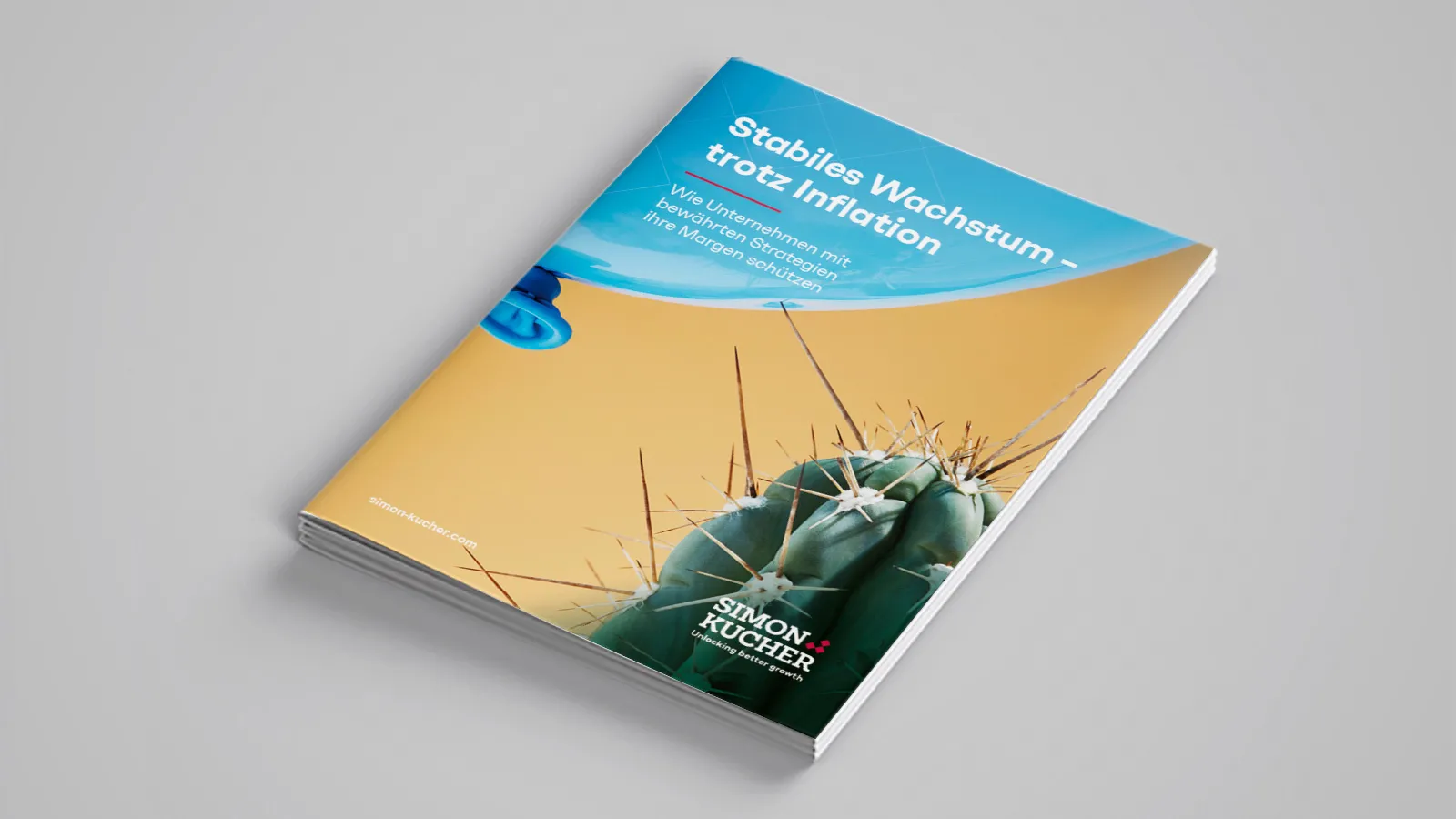 Inflations Report 2022 Deutschland