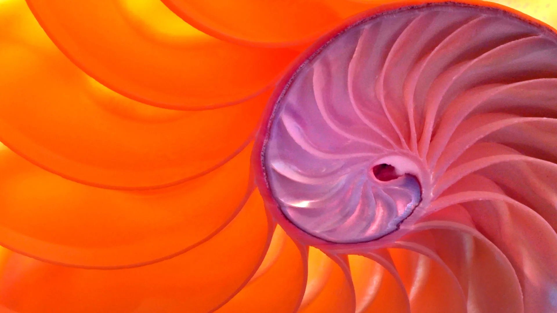 Sustainability event image