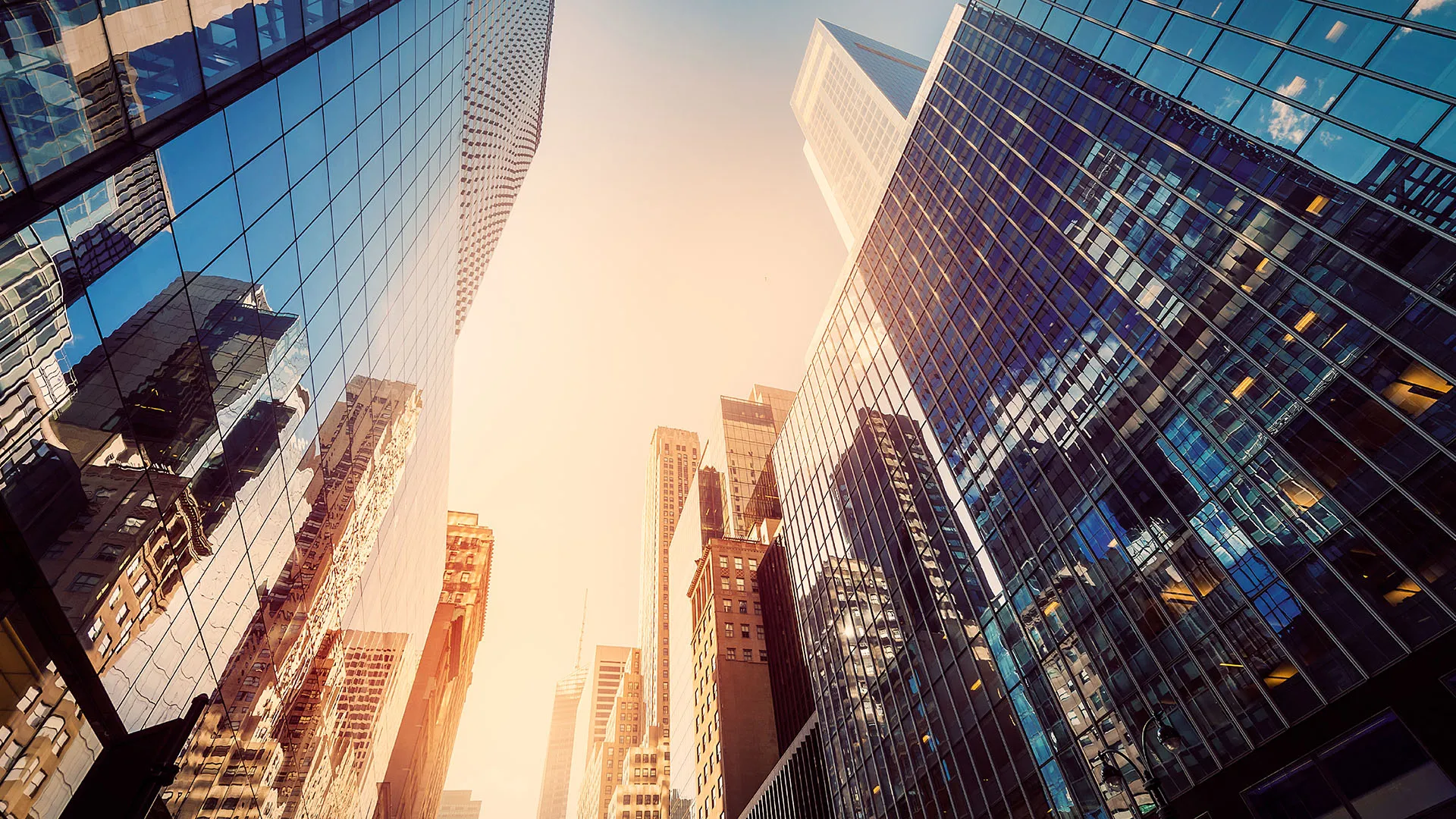 Business Development