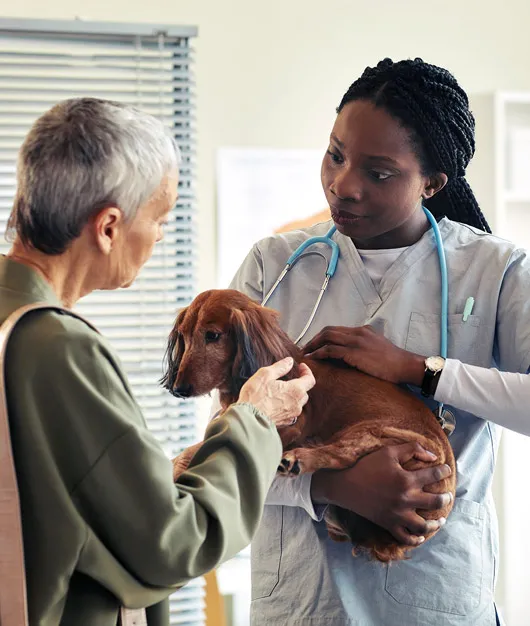 animal health